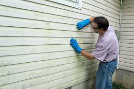 Affordable Siding Repair and Maintenance Services in Belleville, IL